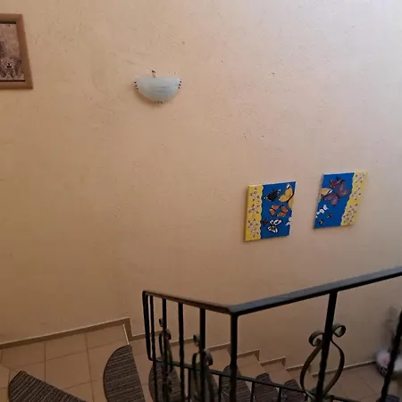 морска звезда апартамент